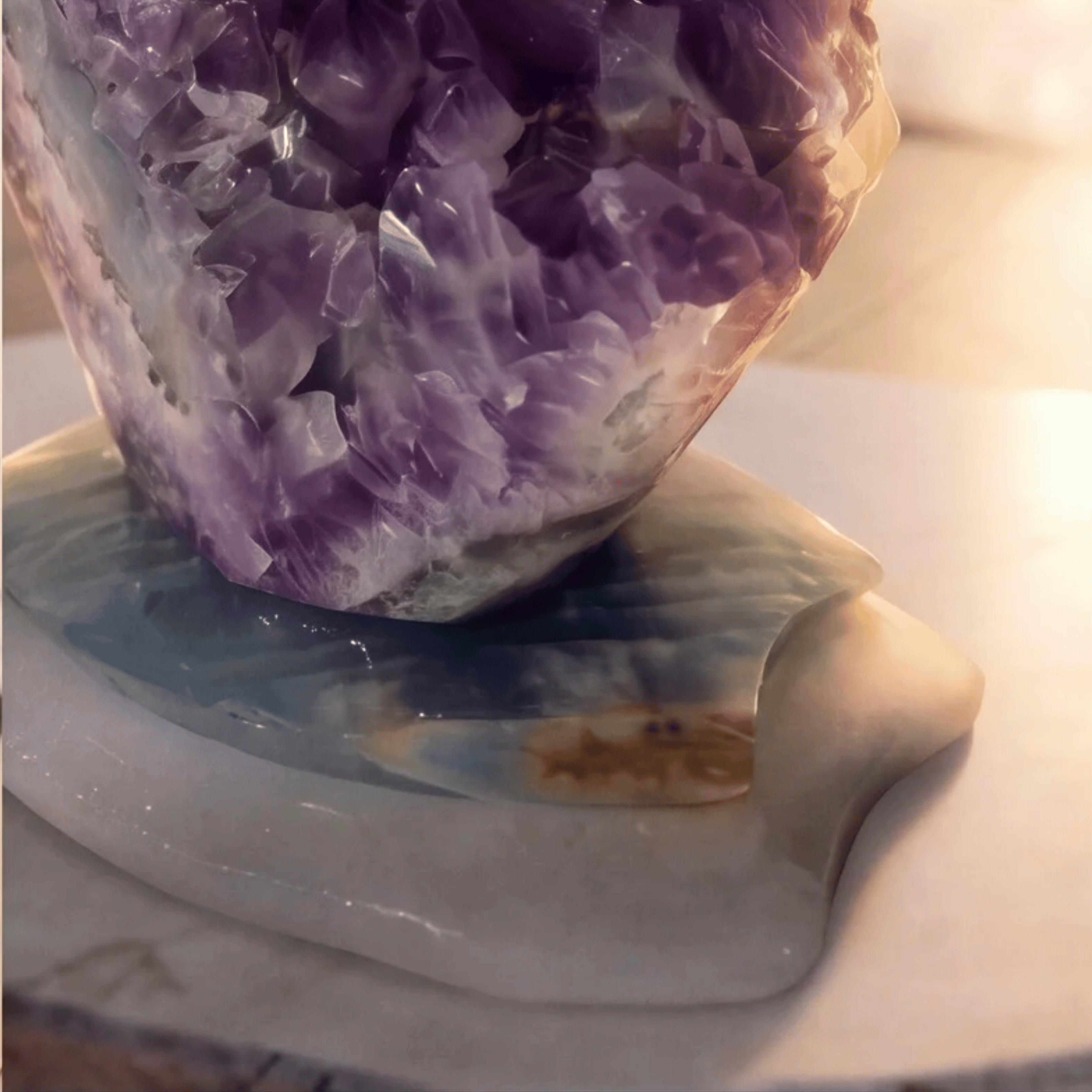 White Cockatoos on Amethyst — Garden