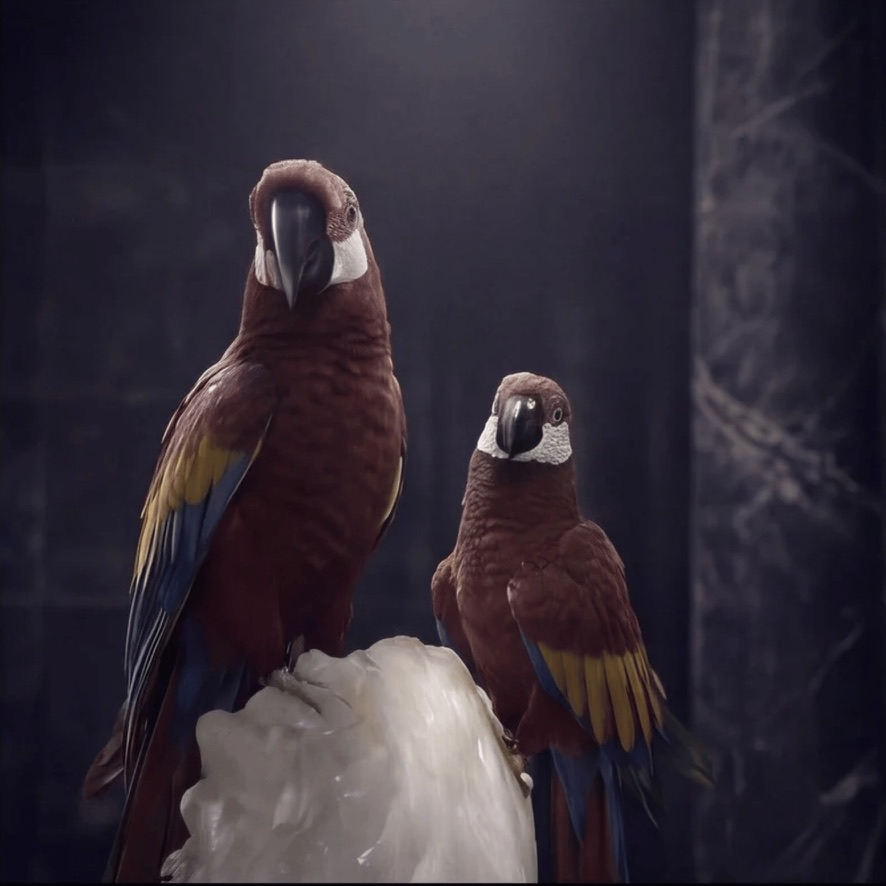 Crimson Duo — view 5
