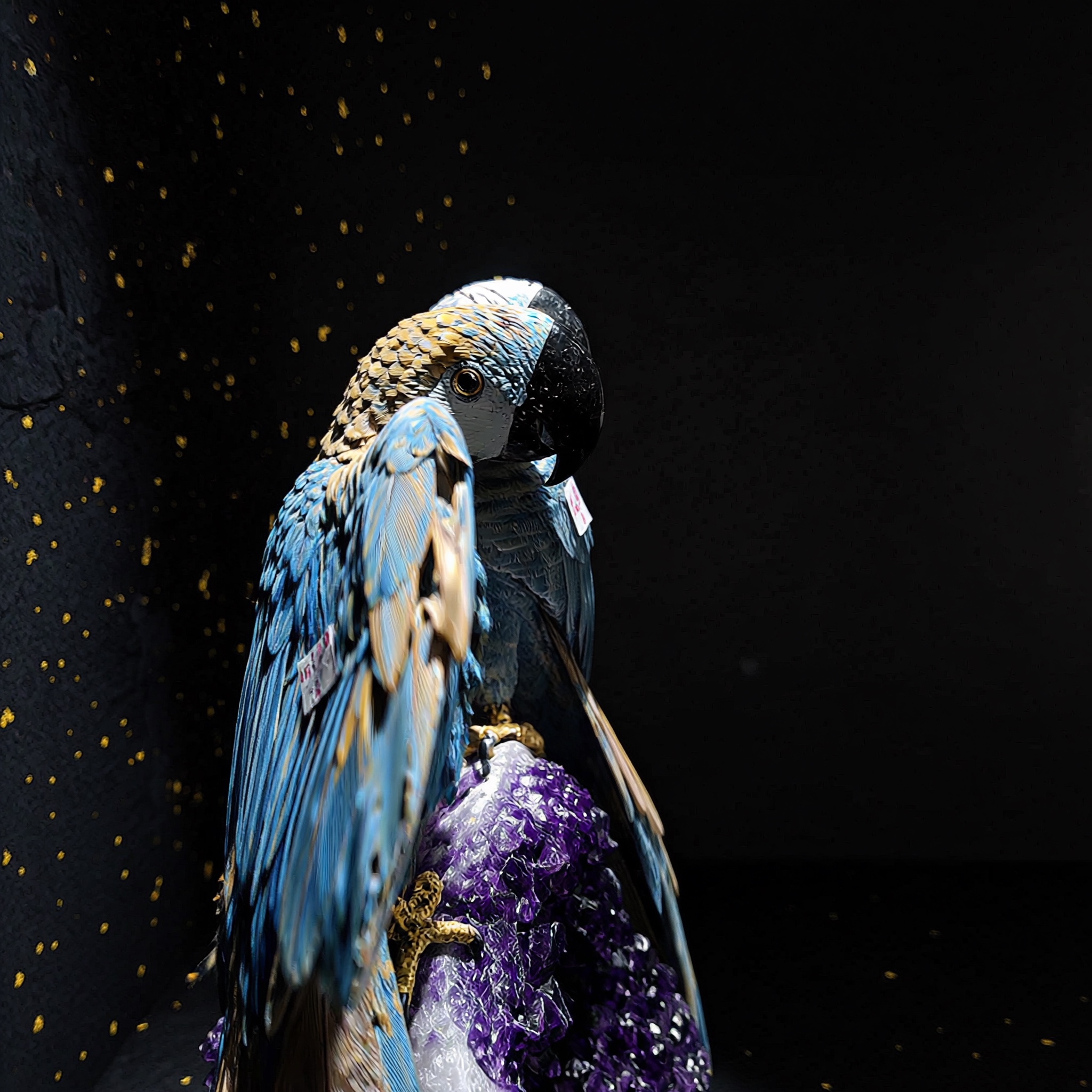 The Amethyst Crown — view 10