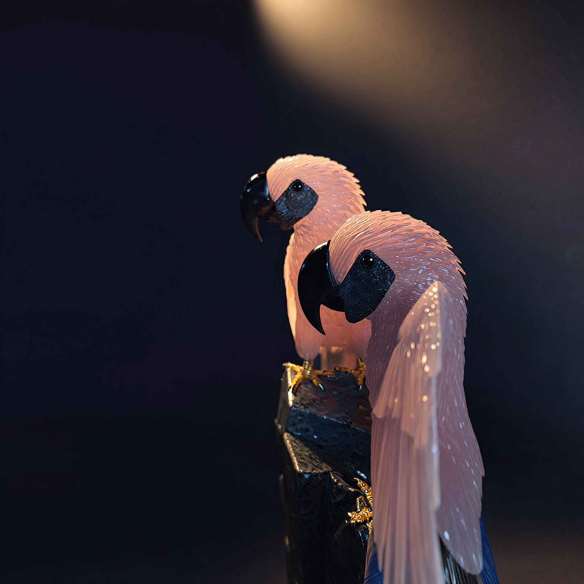 The Consort — view 8