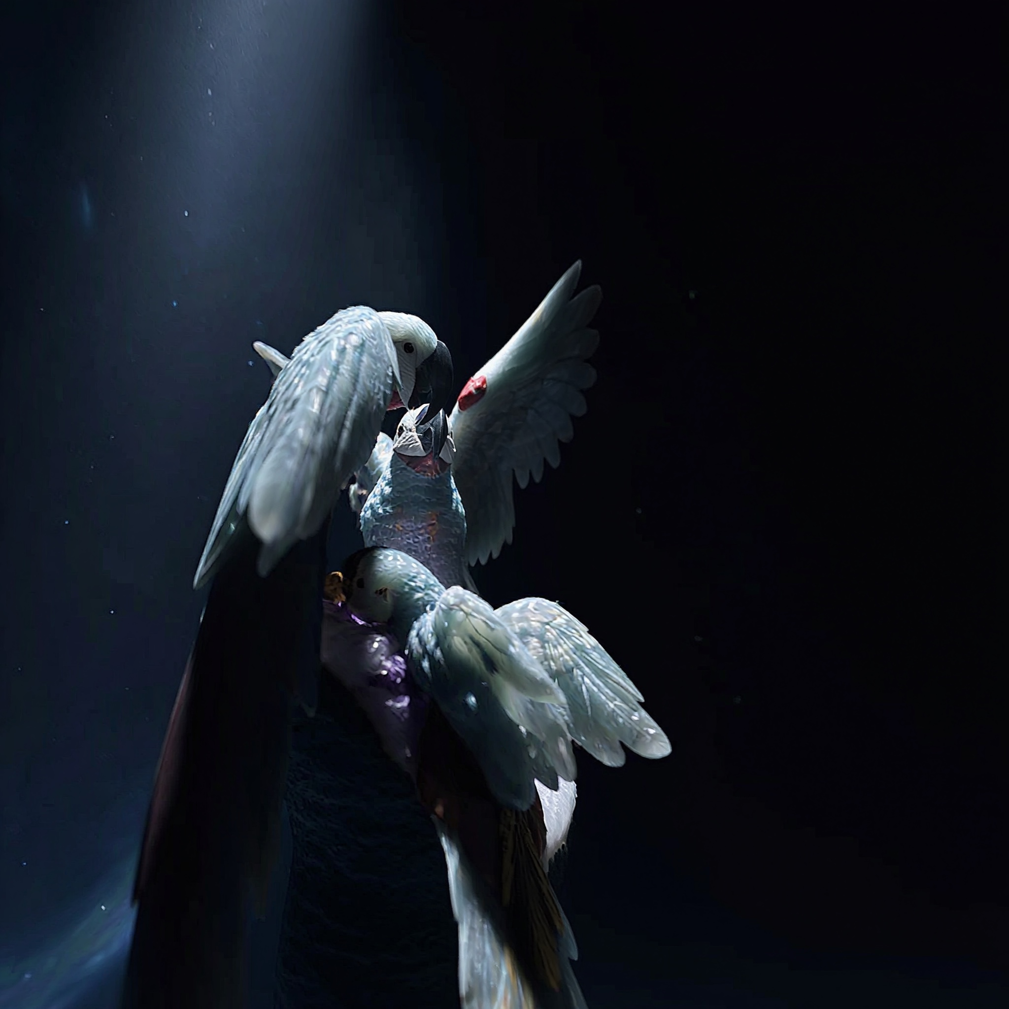 The Harvest — view 4