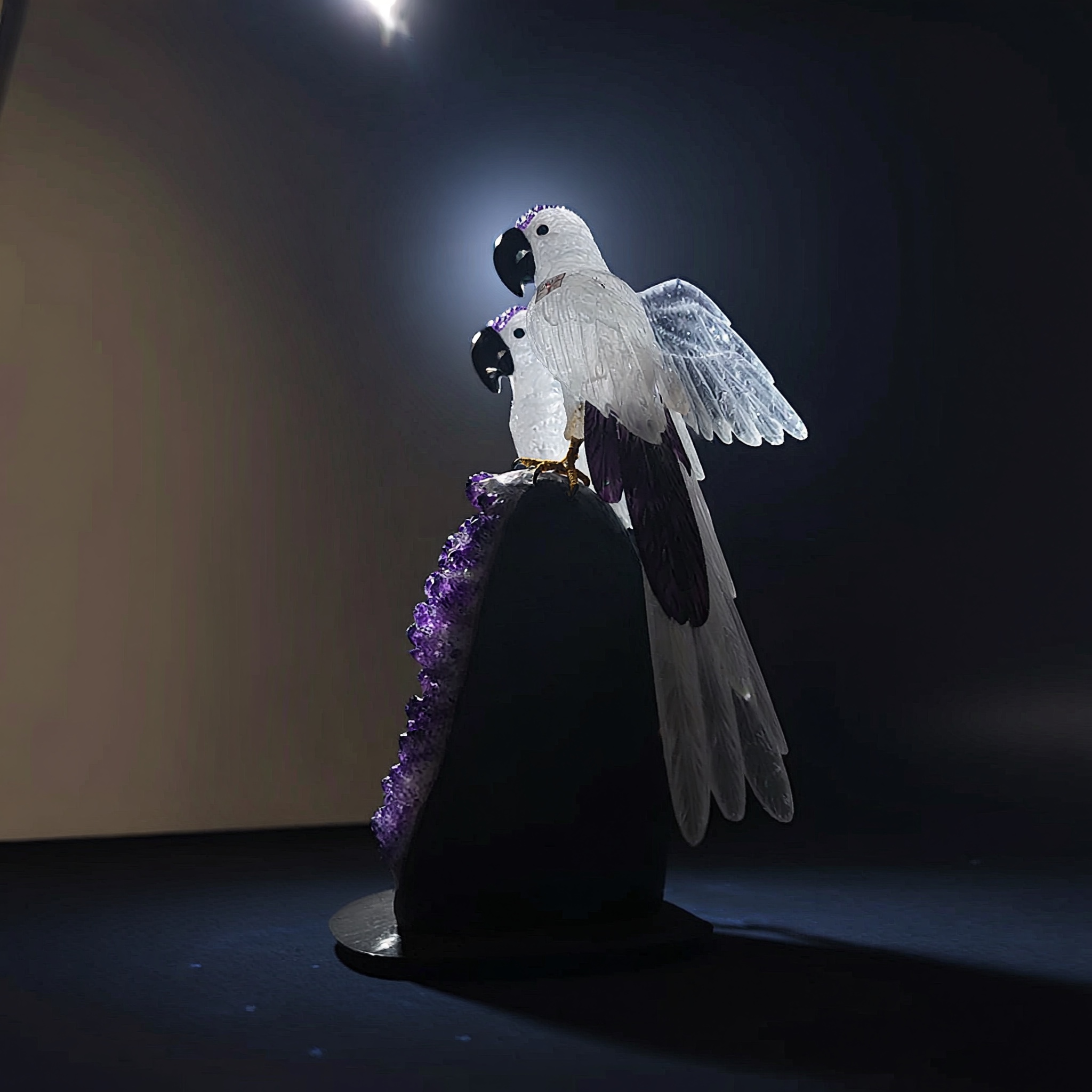 The Luminary — view 9