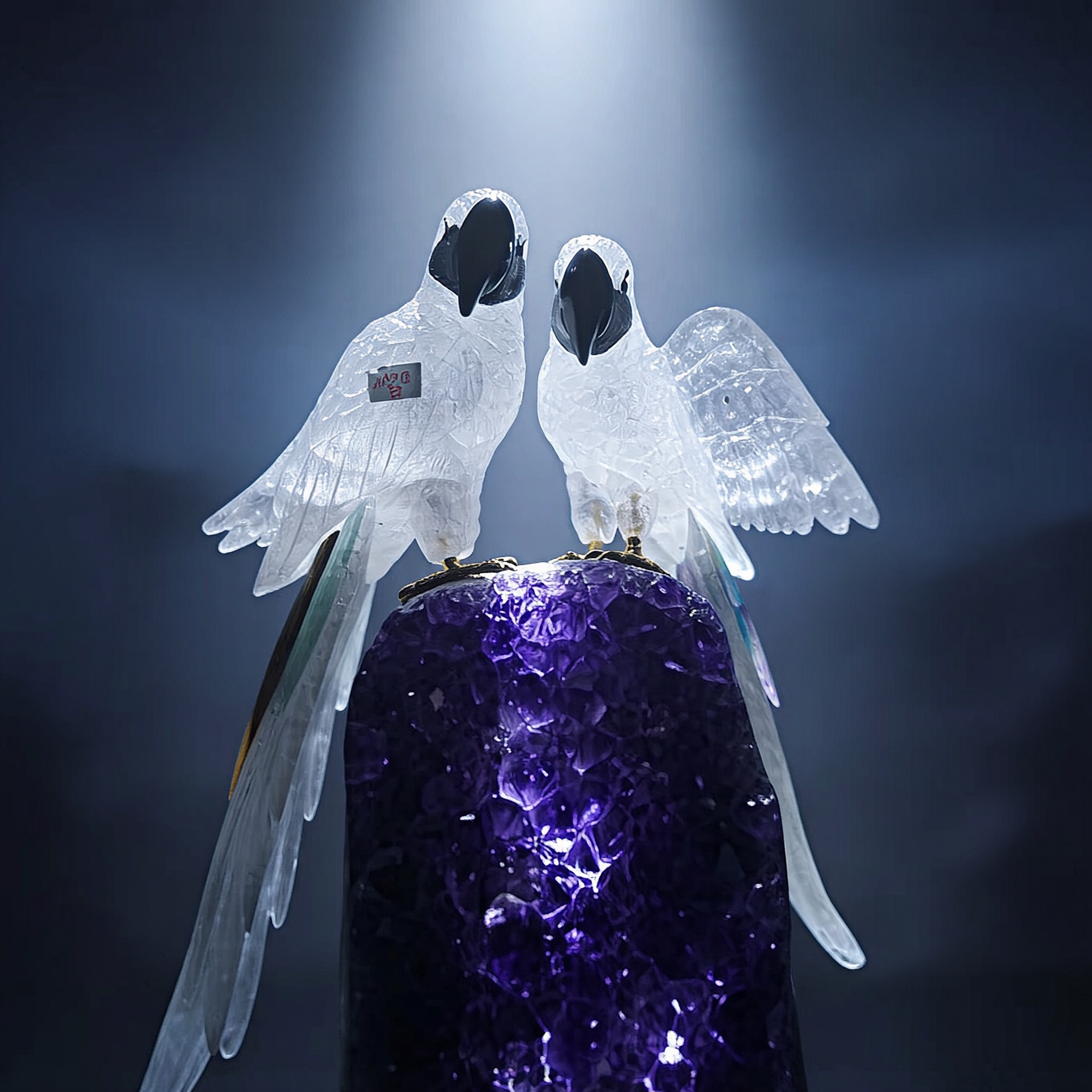 The Oracle — view 3