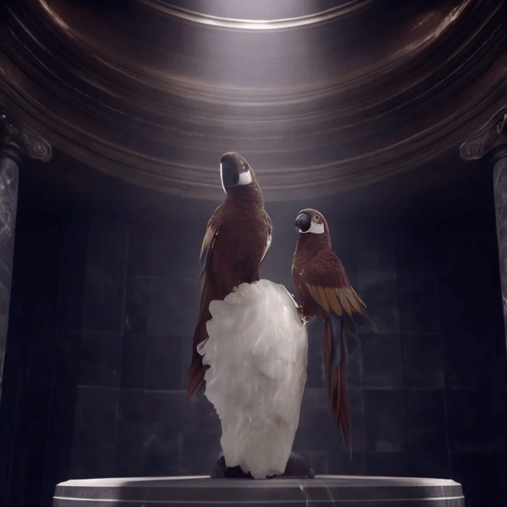 Crimson Duo on White Quartz