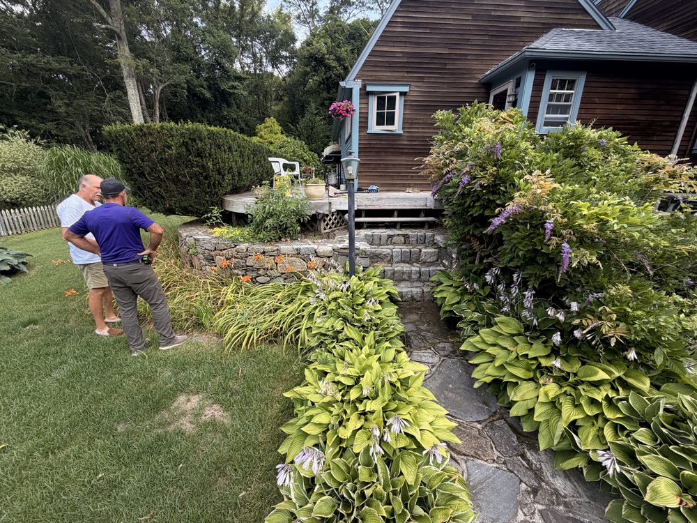 Before — the old flagstone path narrowed to a gap between overgrown hostas