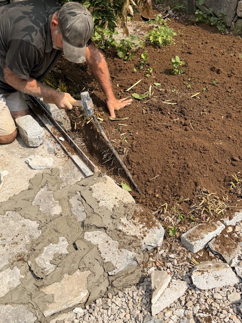 The planting bed being cut back by hand to the granite cobble edge